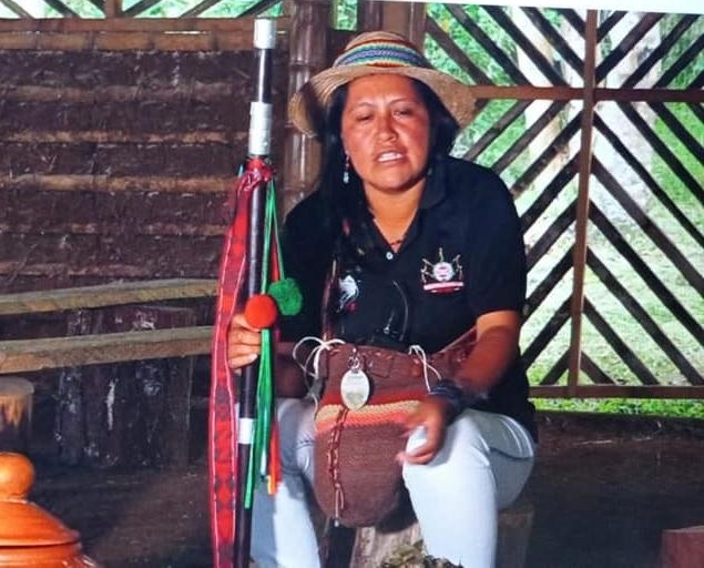 Gobernadora Indigena