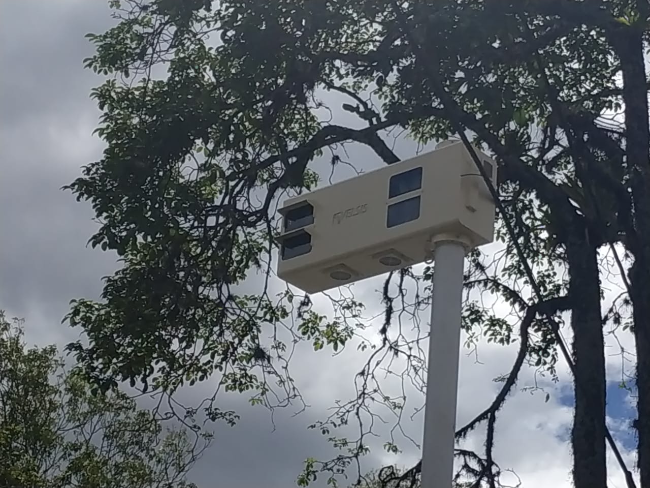 Foto Multa