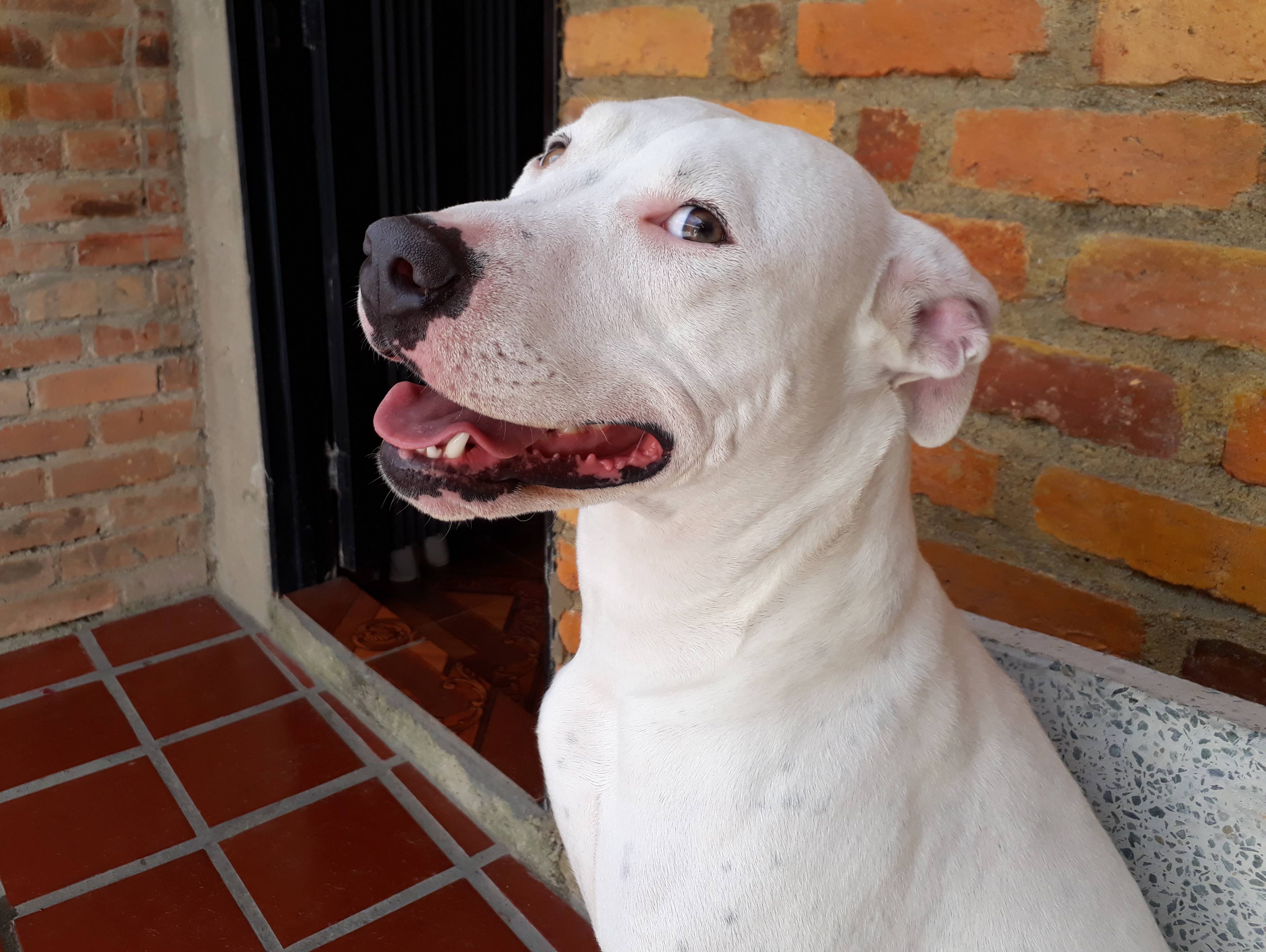 Gina Modelo