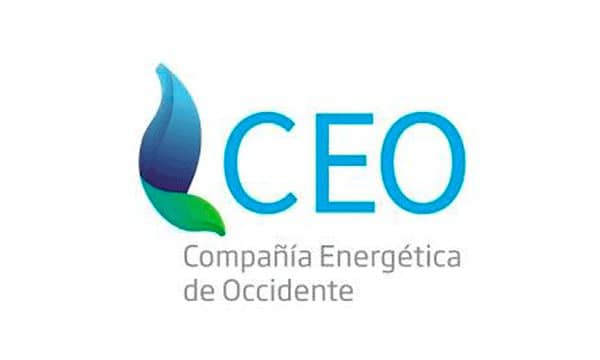 CEO Energia