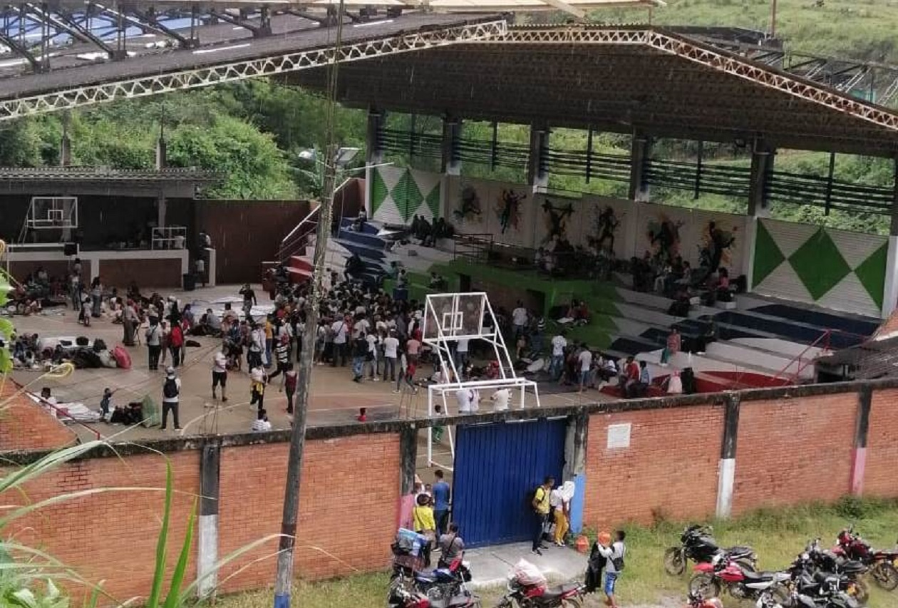 Argelia Desplazados