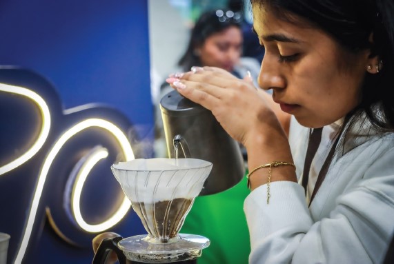 Camara de Comercio del Cauca